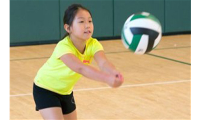 Spring Volleyball Leagues
