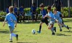 Spring Soccer Programs
